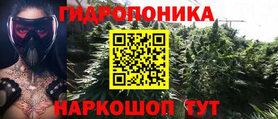прущие крисы Ипатово