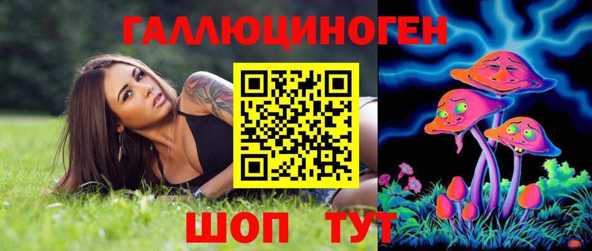 Псилоцибиновые грибы Psilocybine cubensis Кыштым