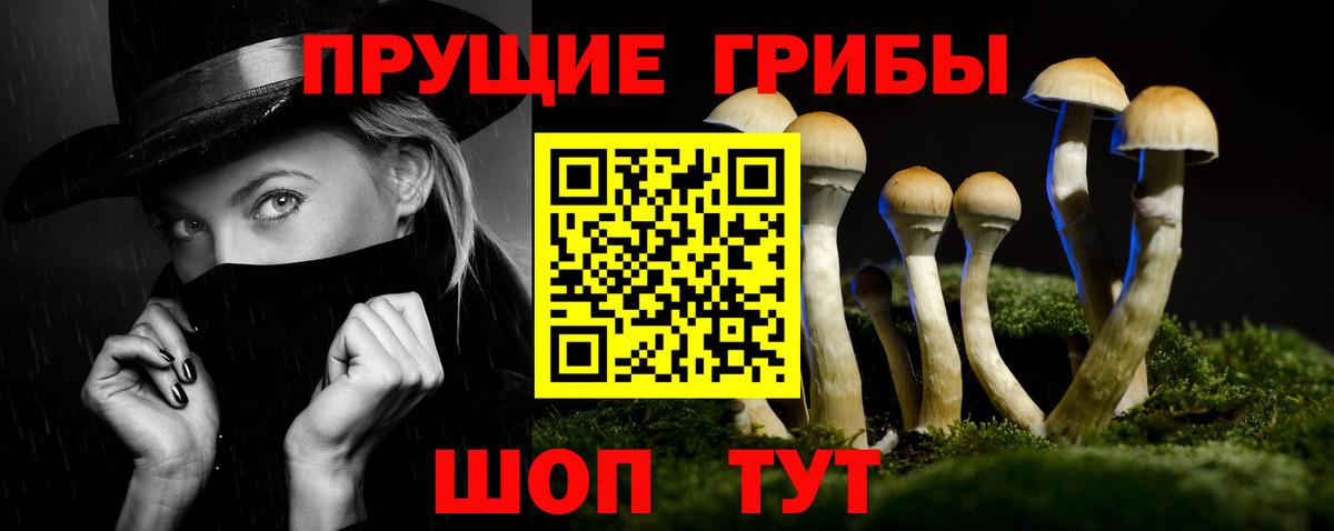Кыштым  Псилоцибиновые грибы прущие грибы  как найти закладки  Вход с VPN 